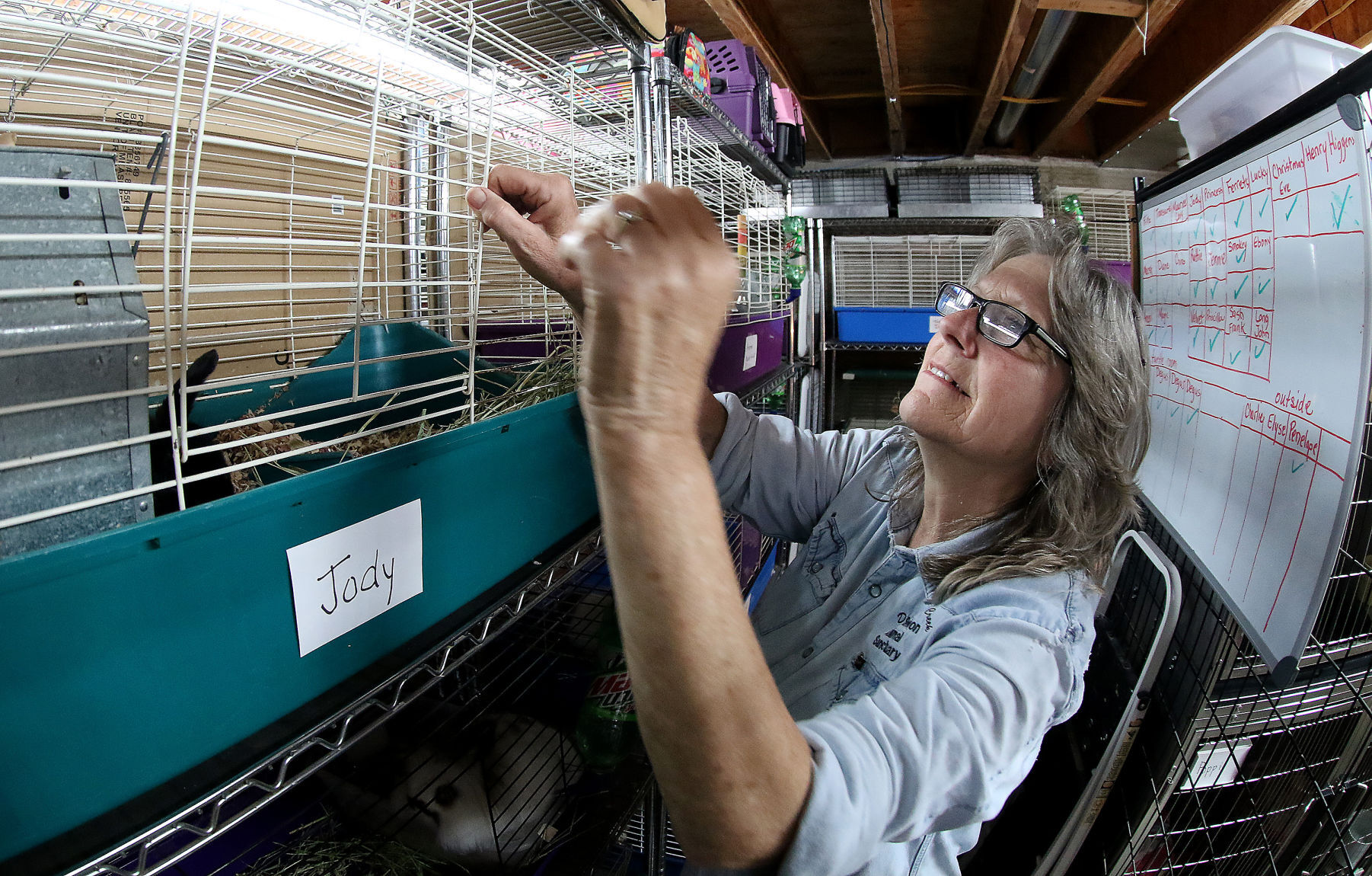 060518-qct-animal-sanctuary-002